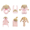 Plush Infant Toys