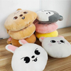 Plush Pillow&cushion