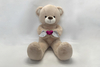 Emotional Expression Teddy Bear for Gifts