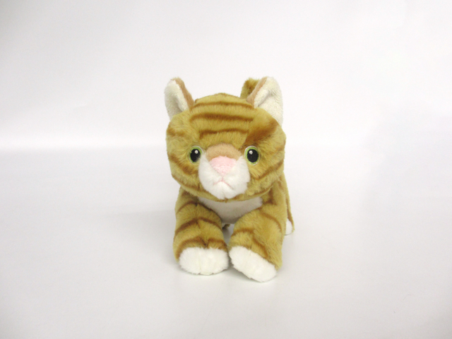 Stuffed Cat Plush Toy